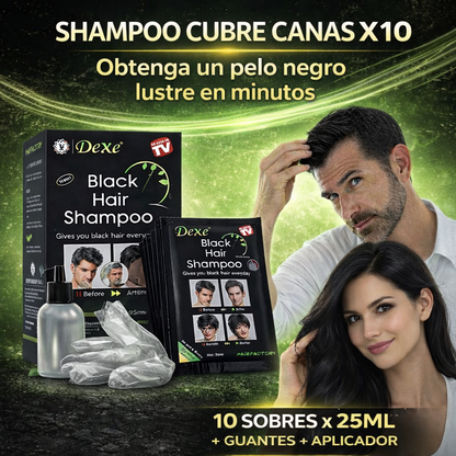 SHAMPO CUBRE CANAS X 10