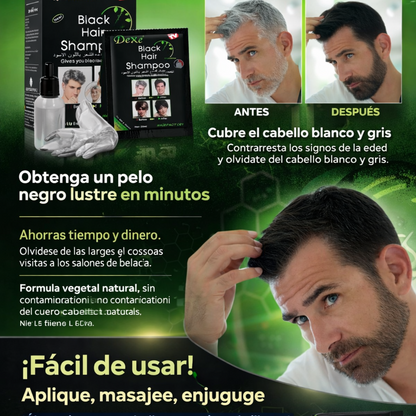 SHAMPO CUBRE CANAS X 10